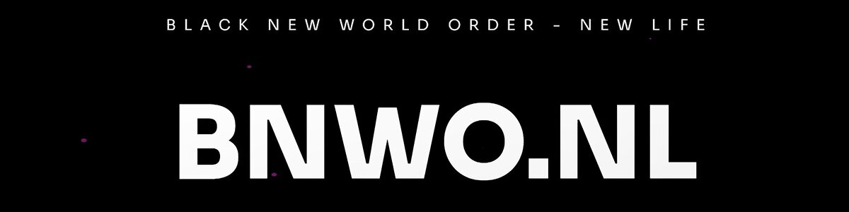 BNWO.NL leaked photo #2