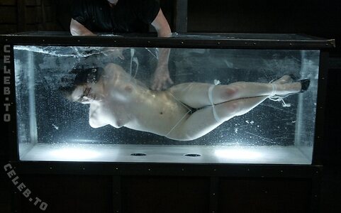 Bobbi Starr Nude Leaked Photo #128