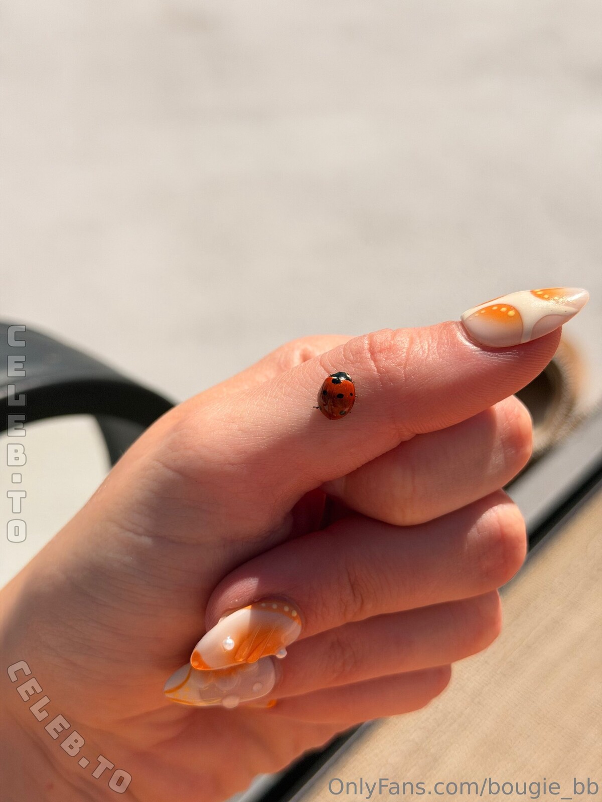 Bougie_bb photo