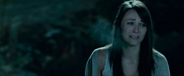 Briana Evigan leaked photo #14