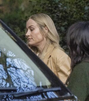Brie Larson leaked photo #194