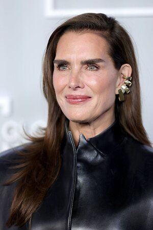 Brooke Shields Nude Leaked Photo #31