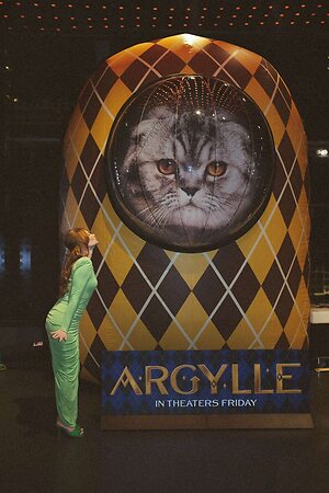 Bryce Dallas Howard leaked photo #48