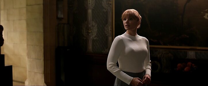 Bryce Dallas Howard leaked photo #102