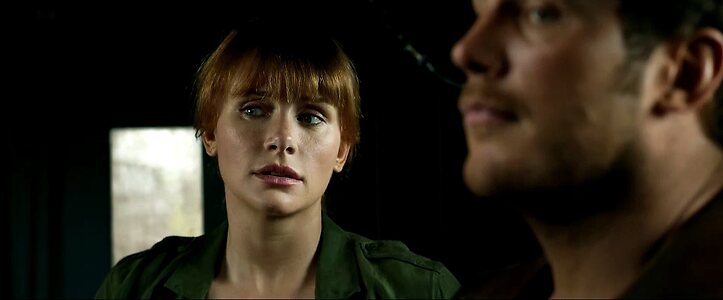 Bryce Dallas Howard leaked photo #119