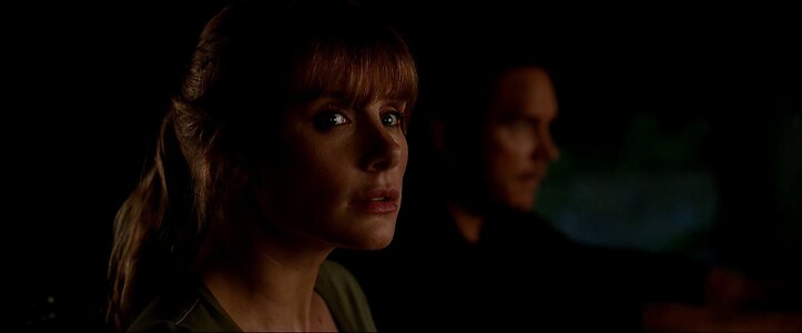 Bryce Dallas Howard leaked photo #122