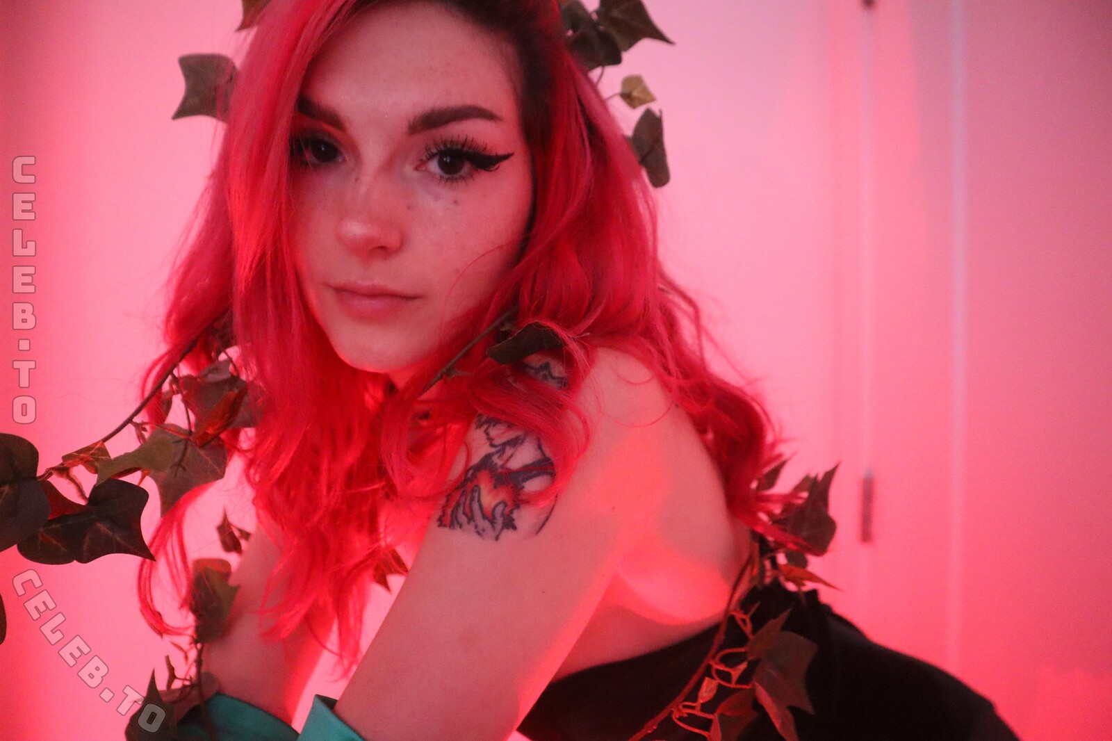 Busy B Asmr photo