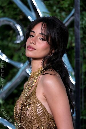 Camila Cabello leaked photo #100