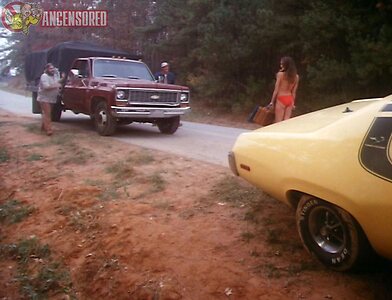 Catherine Bach leaked photo #15