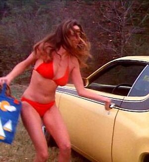 Catherine Bach leaked photo #20