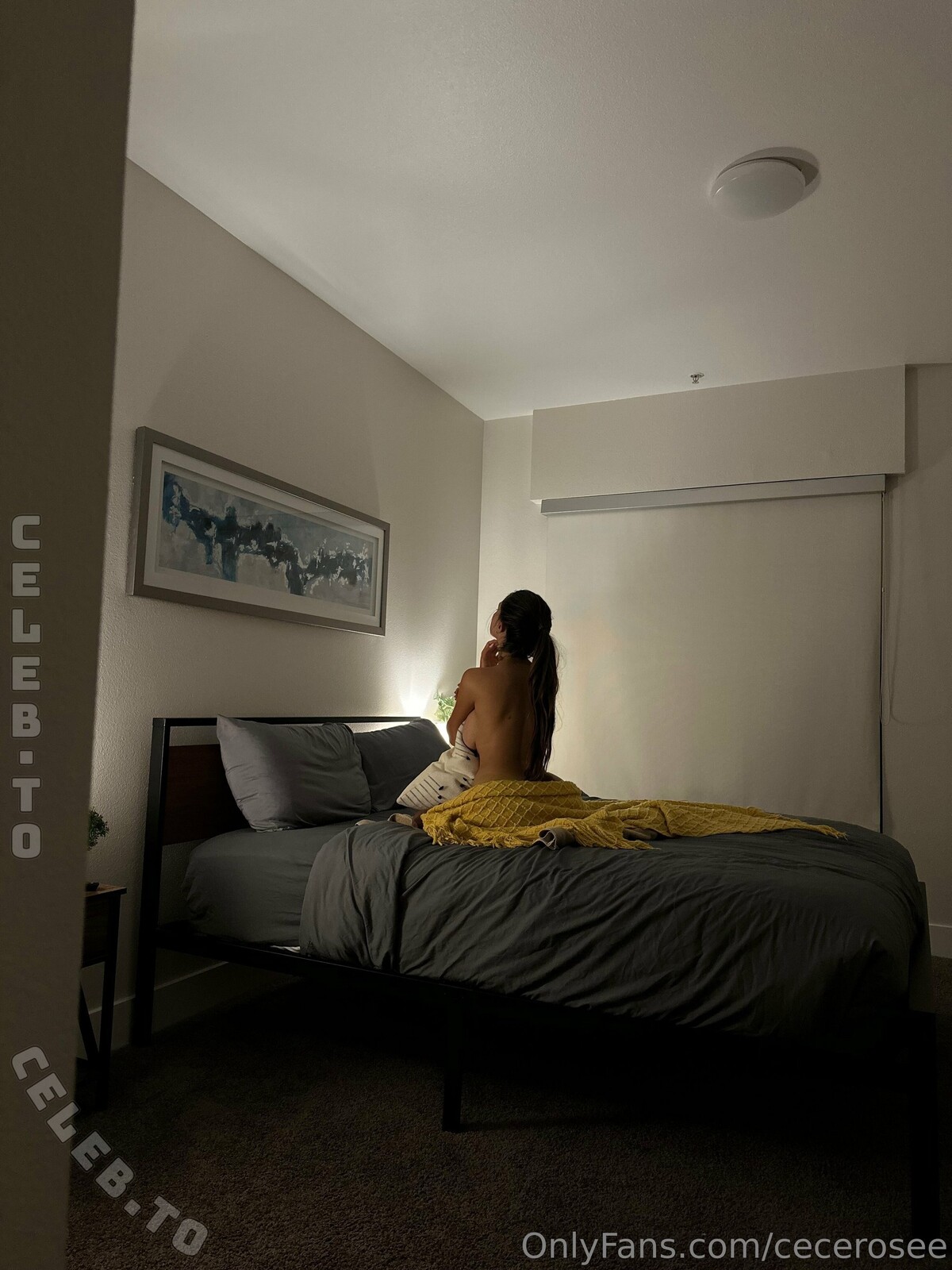 Cecilia Rose photo