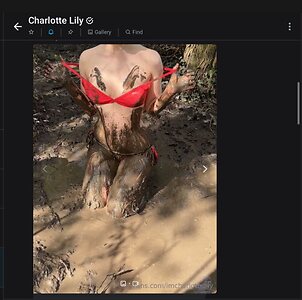 Charlotte Lily