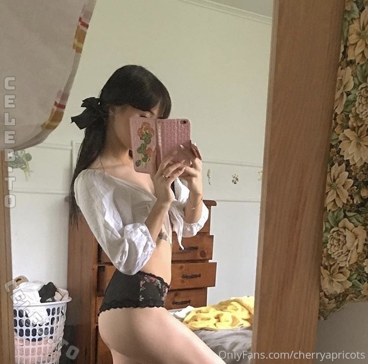 Cherryapricots photo