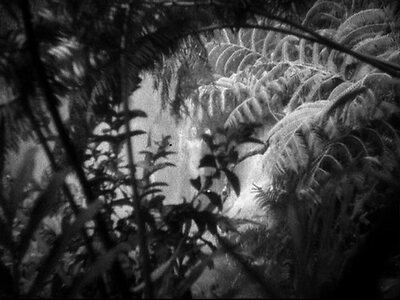 Claudette Colbert leaked photo #2