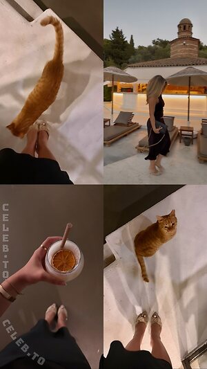 Cocobasics photo
