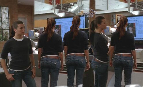 Cote De Pablo leaked photo #3