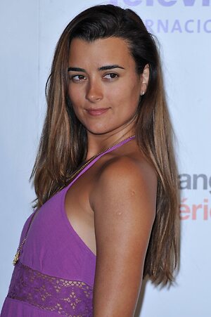 Cote De Pablo Nude Leaked Photo #18