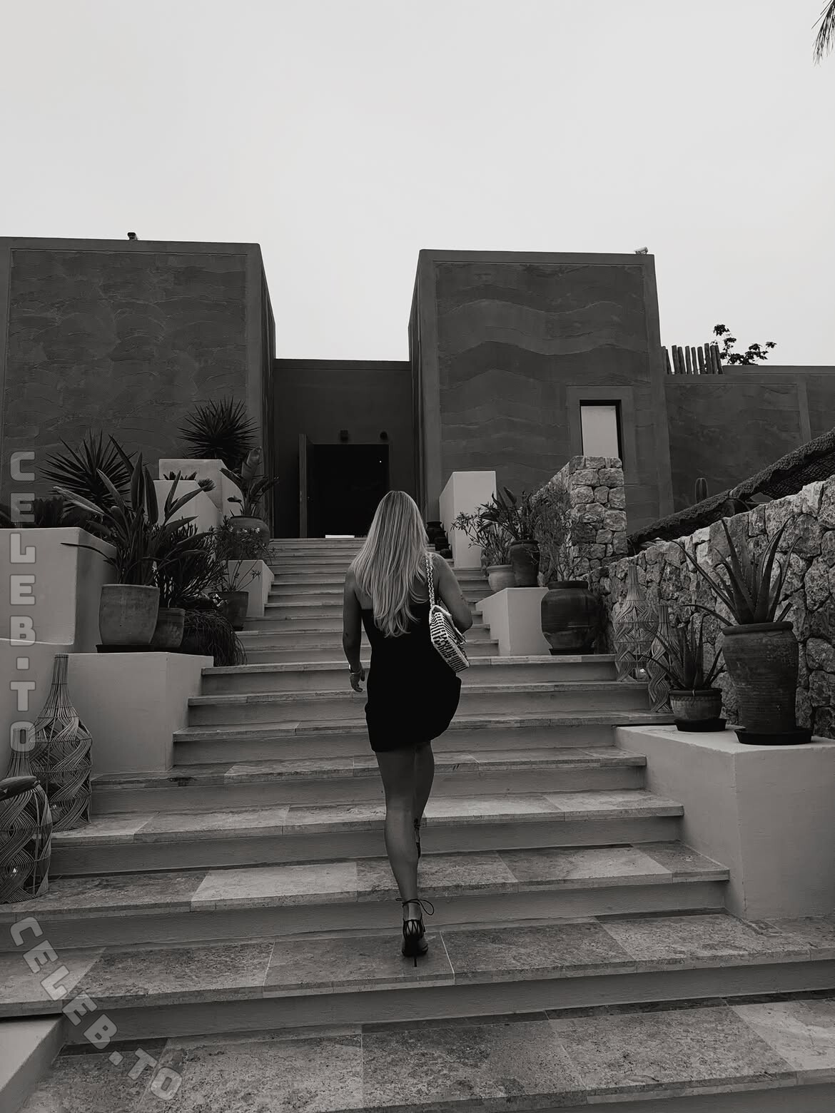 Dagi Bee photo