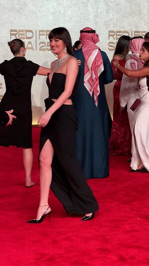 Dakota Johnson Hot leaked photo #40