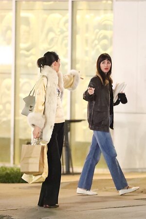Dakota Johnson leaked photo #457
