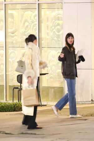 Dakota Johnson leaked photo #460