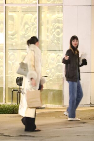 Dakota Johnson leaked photo #461