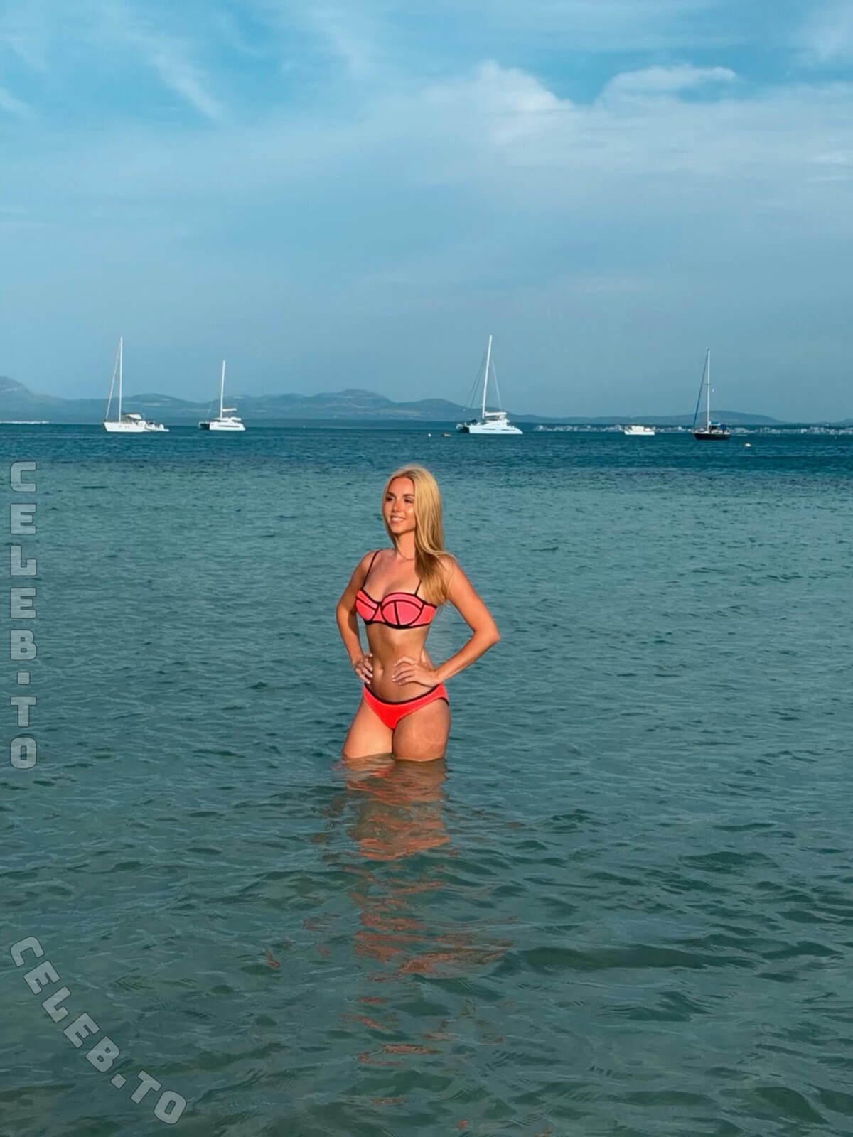 Dalia photo