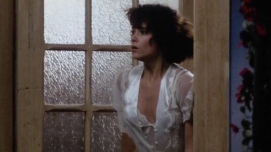 Debrah Farentino Nude Leaked Photo #30