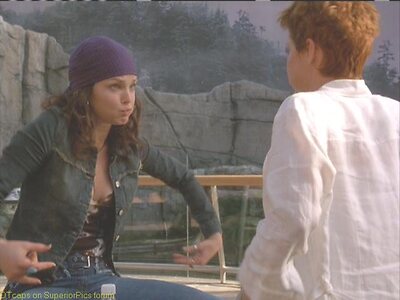 Dina Meyer leaked photo #13