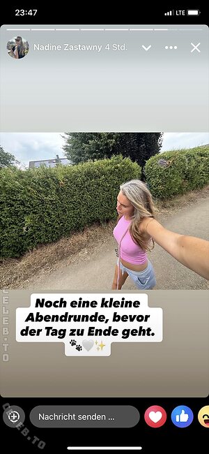 dinladylike
