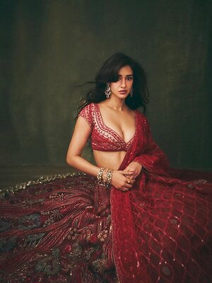 Disha Patani Nude Leaked Photo #8