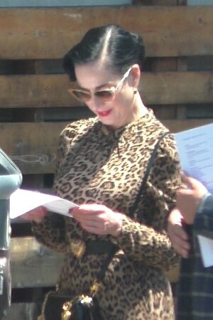 Dita von Teese leaked photo #470
