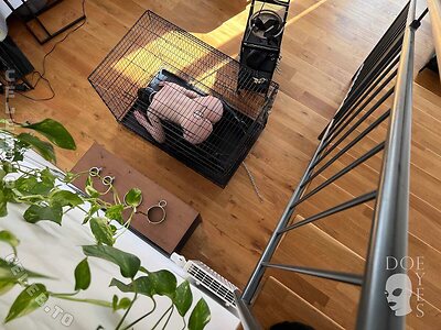 Doe Eyes Nude Leaked Photo #94