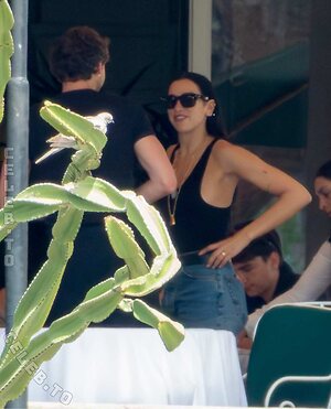 Dua Lipa photo