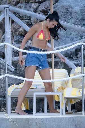Dua Lipa photo