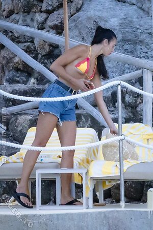 Dua Lipa photo