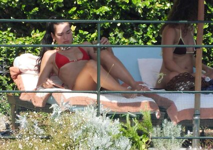 Dua Lipa photo