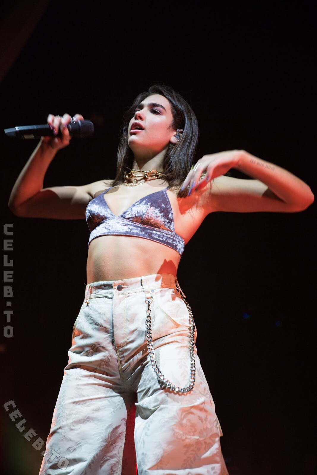 Dua Lipa photo