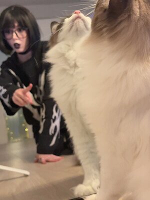 duckie.cos leaked photo #313
