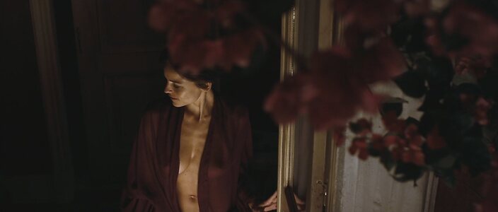 Elena Anaya leaked photo #222