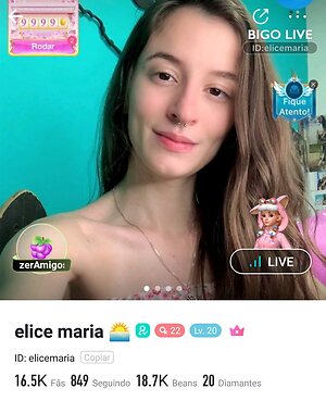 Elicemaria