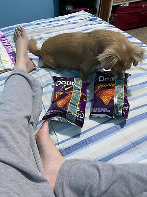 @elitepinkbaby leaked photo #26