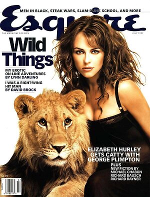 Elizabeth Hurley leaked photo #51