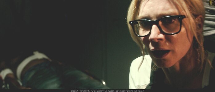 Elizabeth Mitchell leaked photo #2