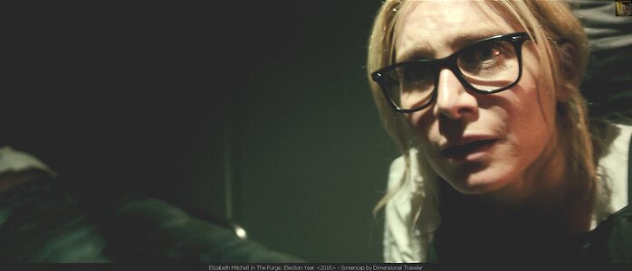 Elizabeth Mitchell leaked photo #4