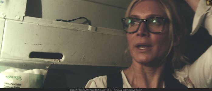 Elizabeth Mitchell leaked photo #5