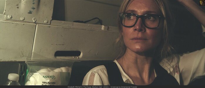 Elizabeth Mitchell leaked photo #7