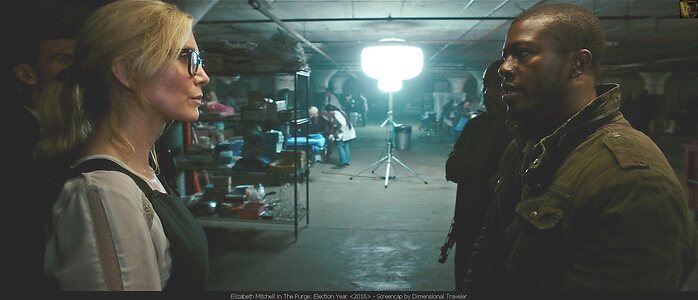 Elizabeth Mitchell leaked photo #12
