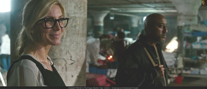 Elizabeth Mitchell leaked photo #16