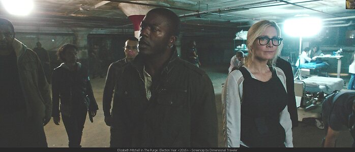 Elizabeth Mitchell leaked photo #18